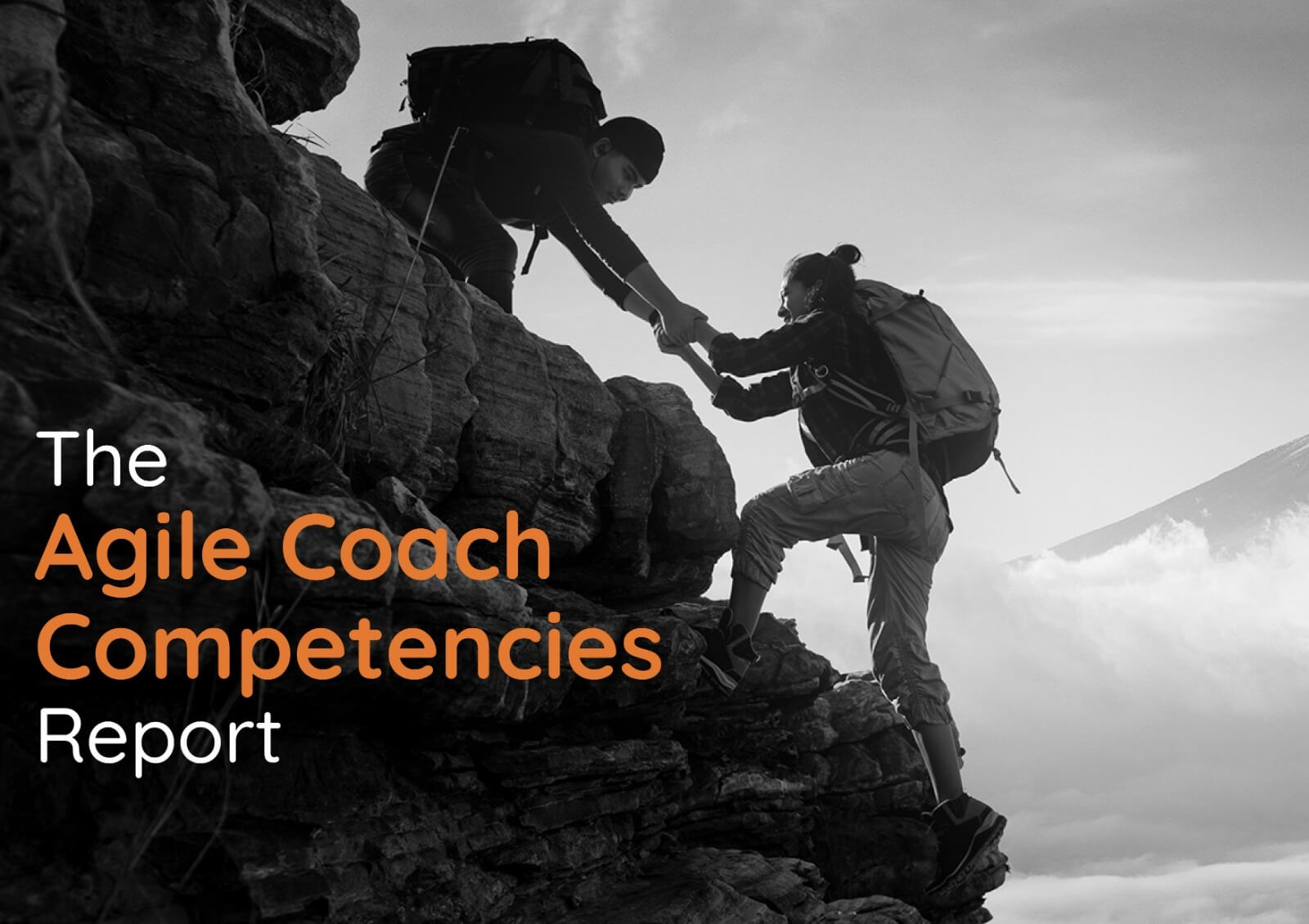 Agile Coach Competencies Report