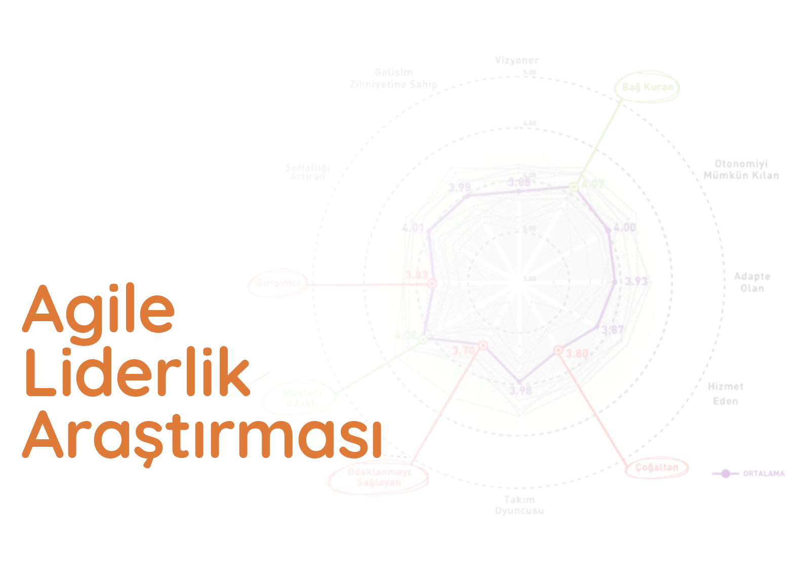 Agile Liderlik Araştırması