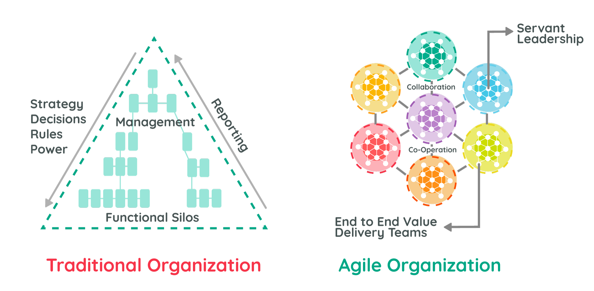 Agile Organization Chart