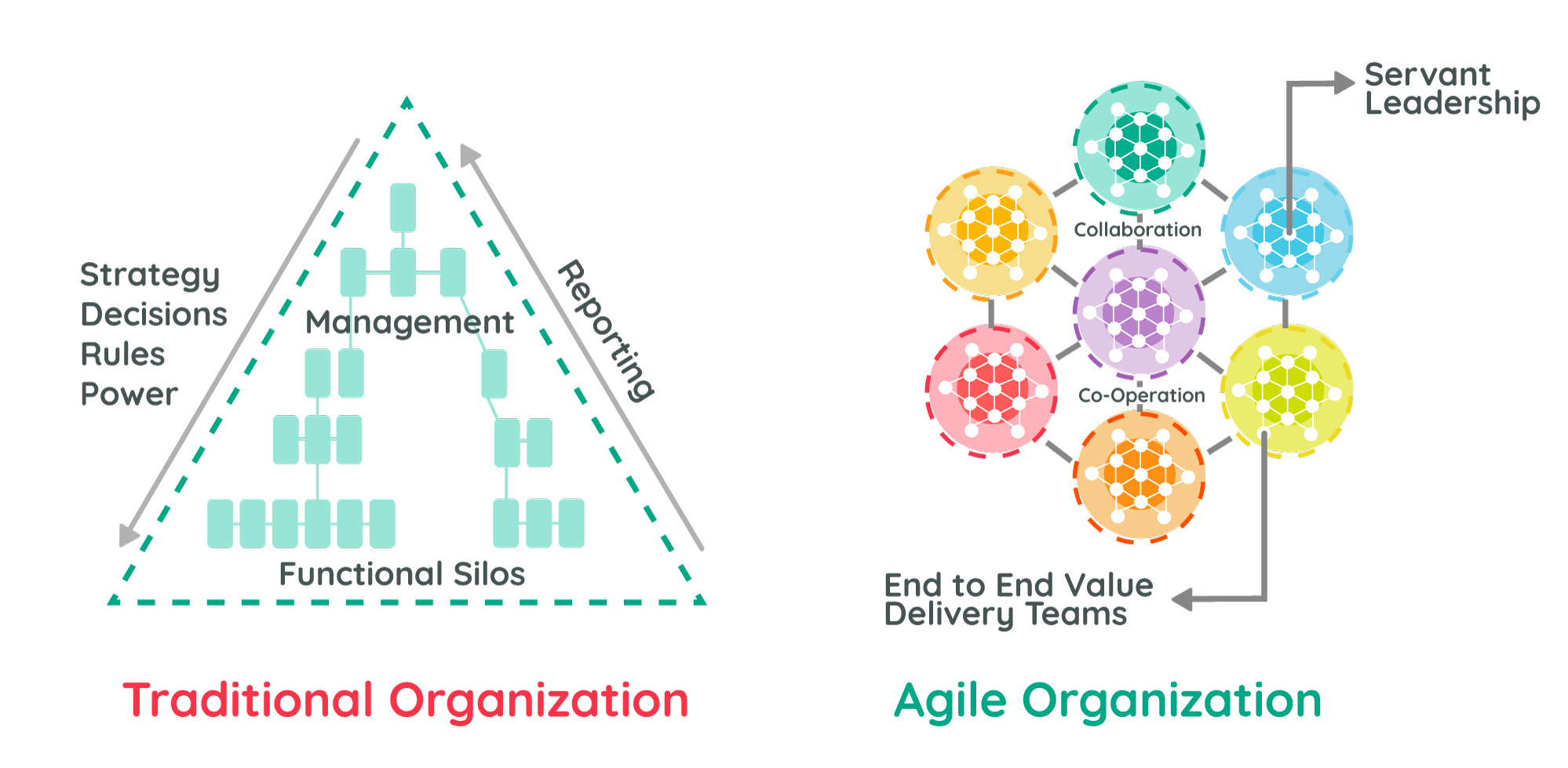 Scrum Team Org Chart