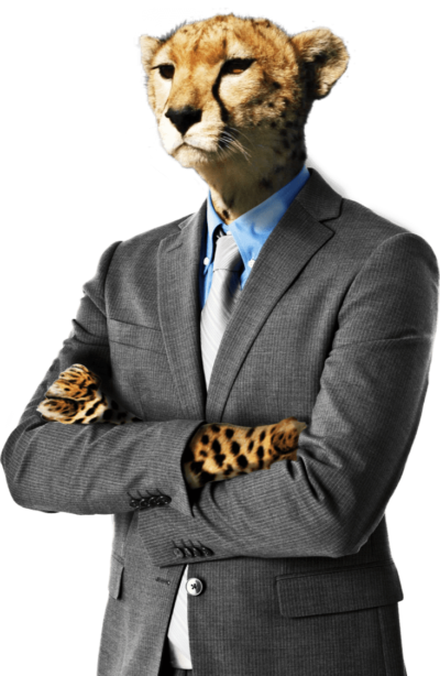 Panter Panter