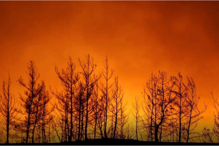 Blog-Yangınlar Karşısında Ülkede Çeviklik